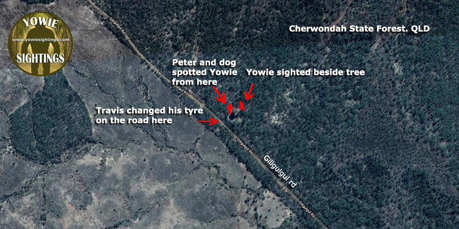 Cherwndah forest encounter