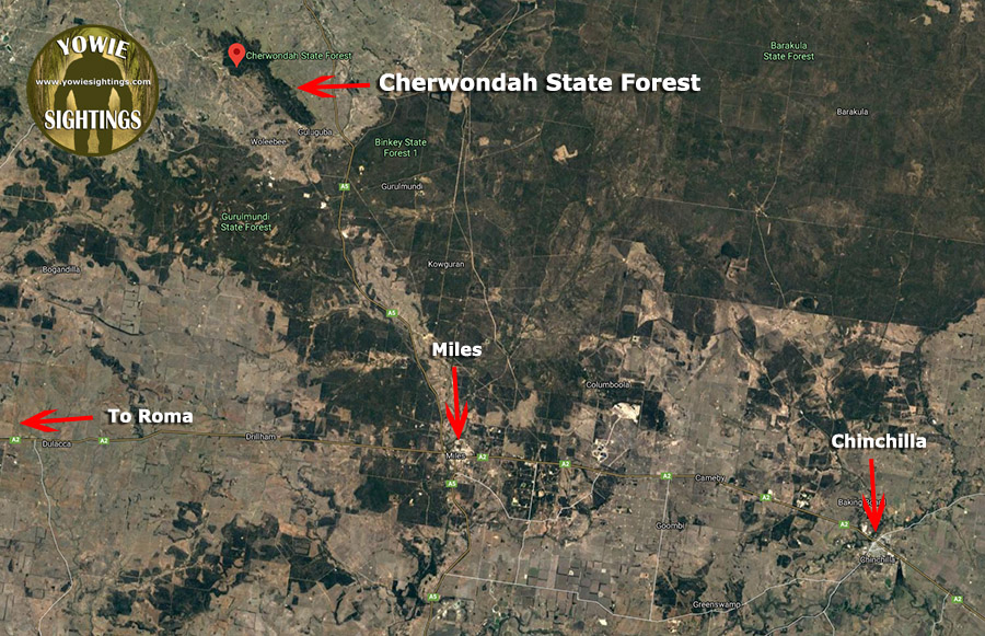 Cherwndah forest location