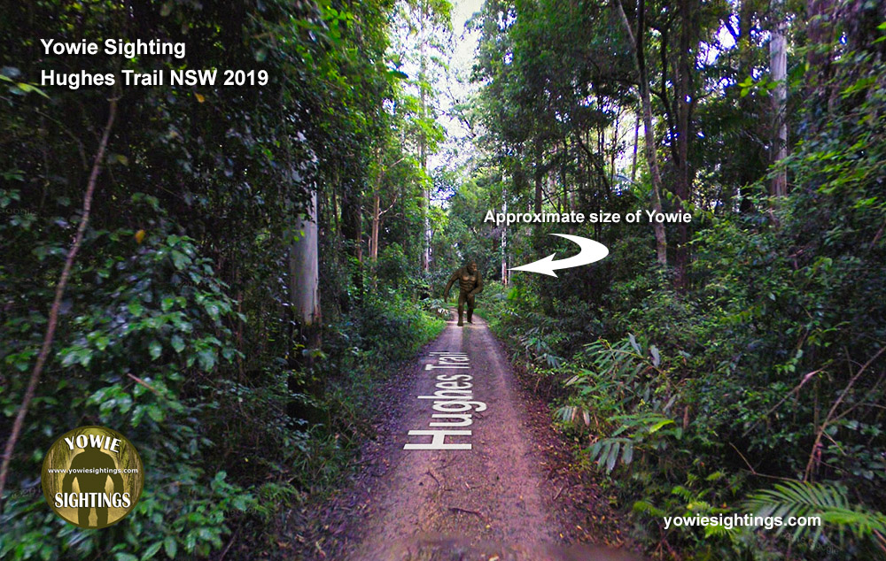 Hughes Trail yowie 2019