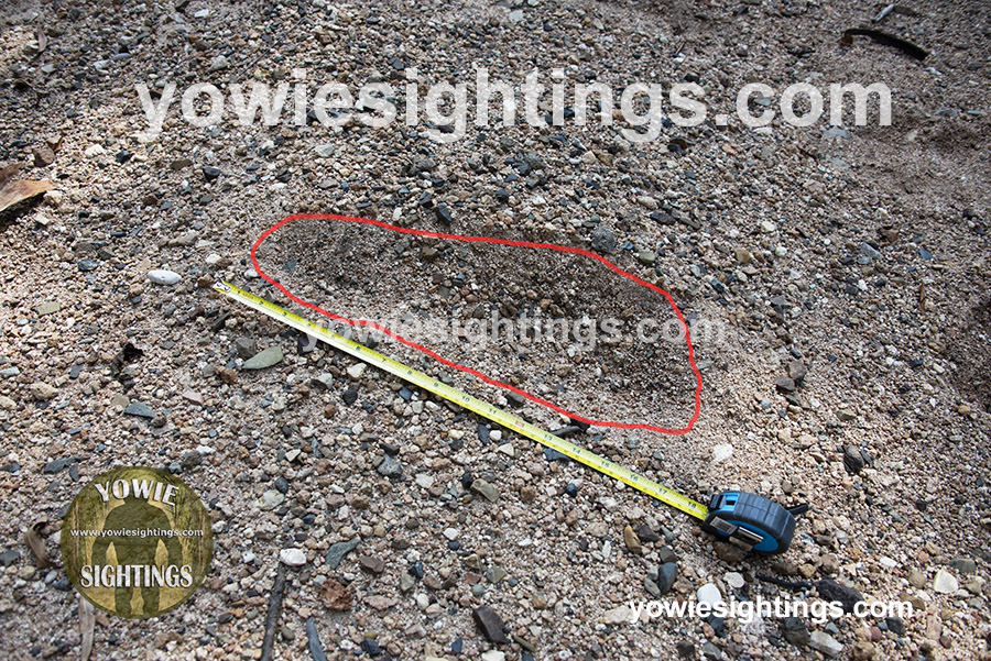 Munna Creek Yowie footprint 01