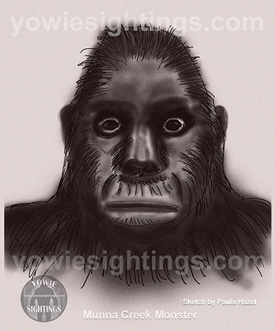 The Yowie Munna Monster
