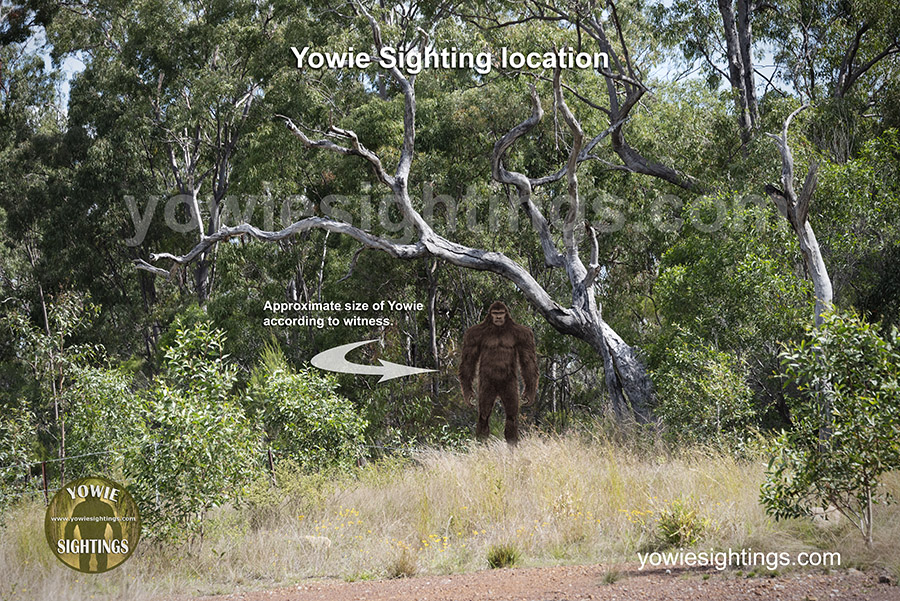 Yowie Sighting location 01