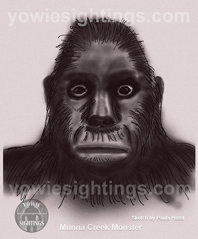 Yowie sketch