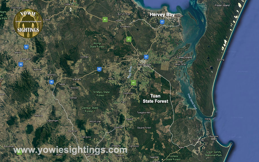 Tuan forest location