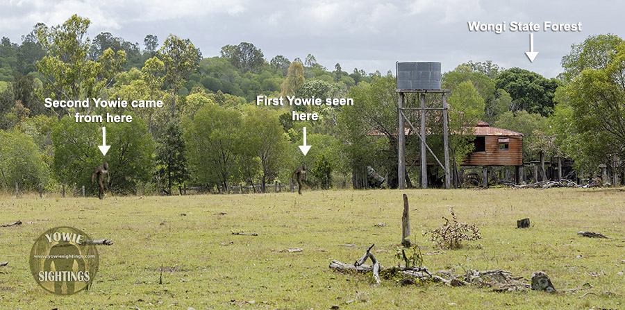 Doongul Yowie sighting QLD